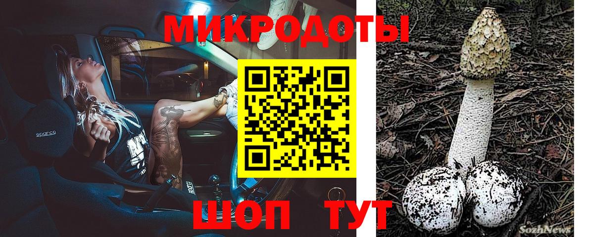 Балашов  Галлюциногенные грибы Psilocybine cubensis  Вход с VPN 